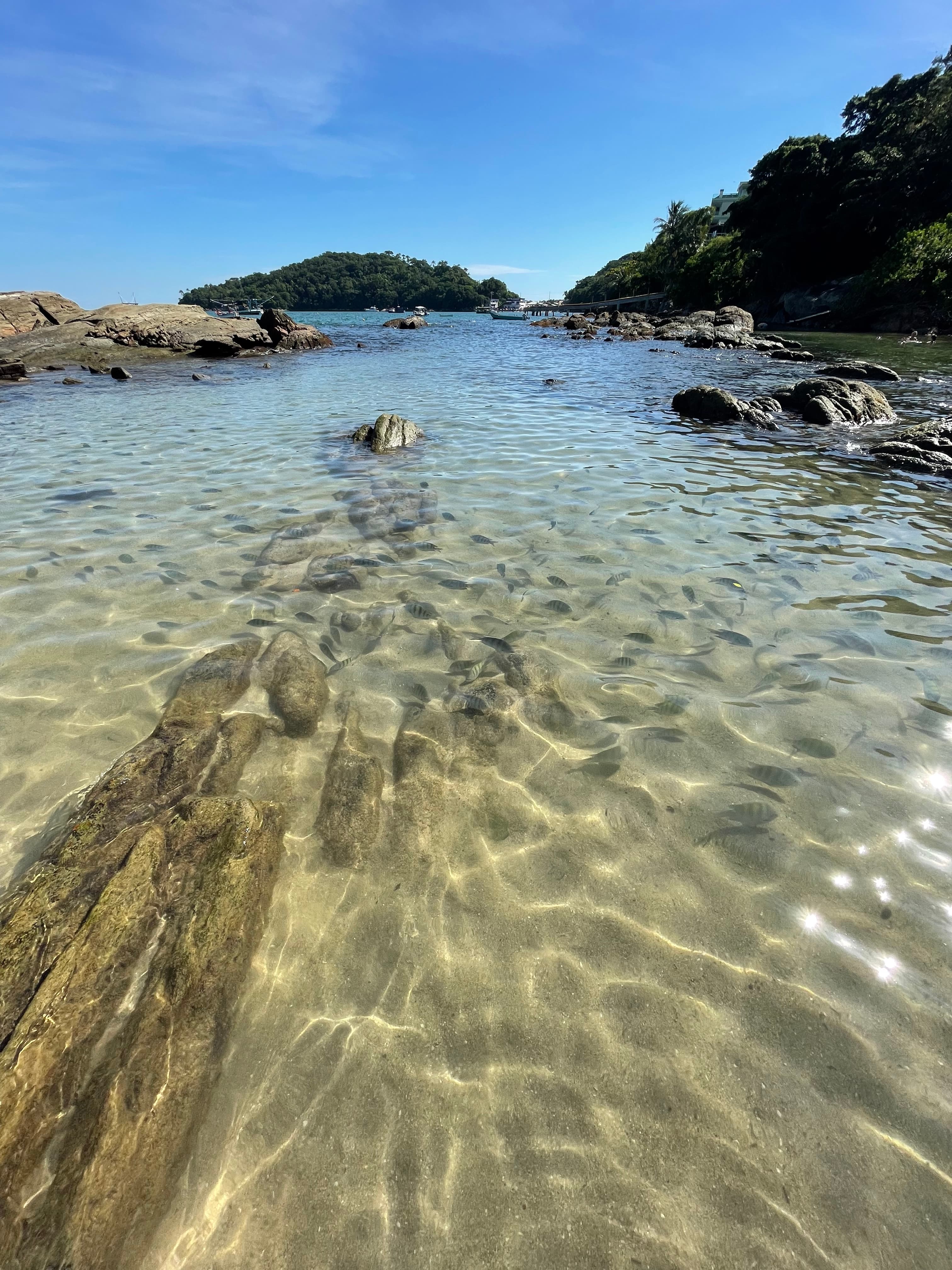 One of Bombinhas's beaches